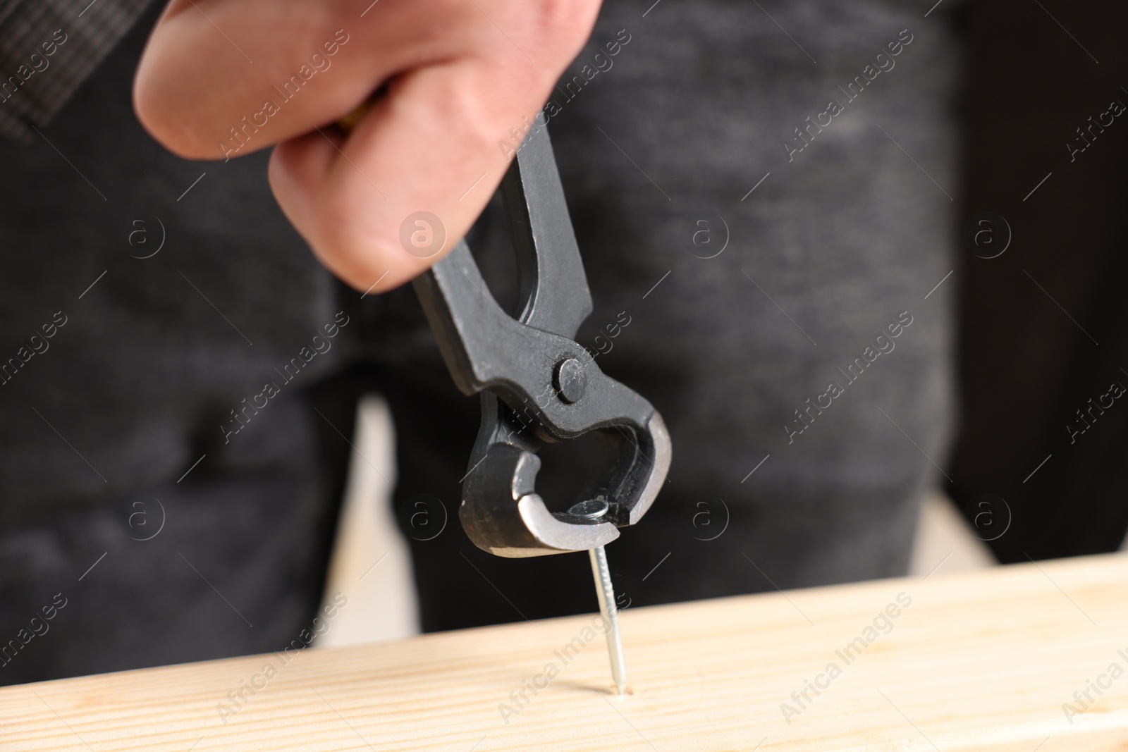 Man pulling metal nail out of wooden plank with pincers indoors, closeup Photo of Man pulling metal nail out of wooden plank with pincers indoors, closeup