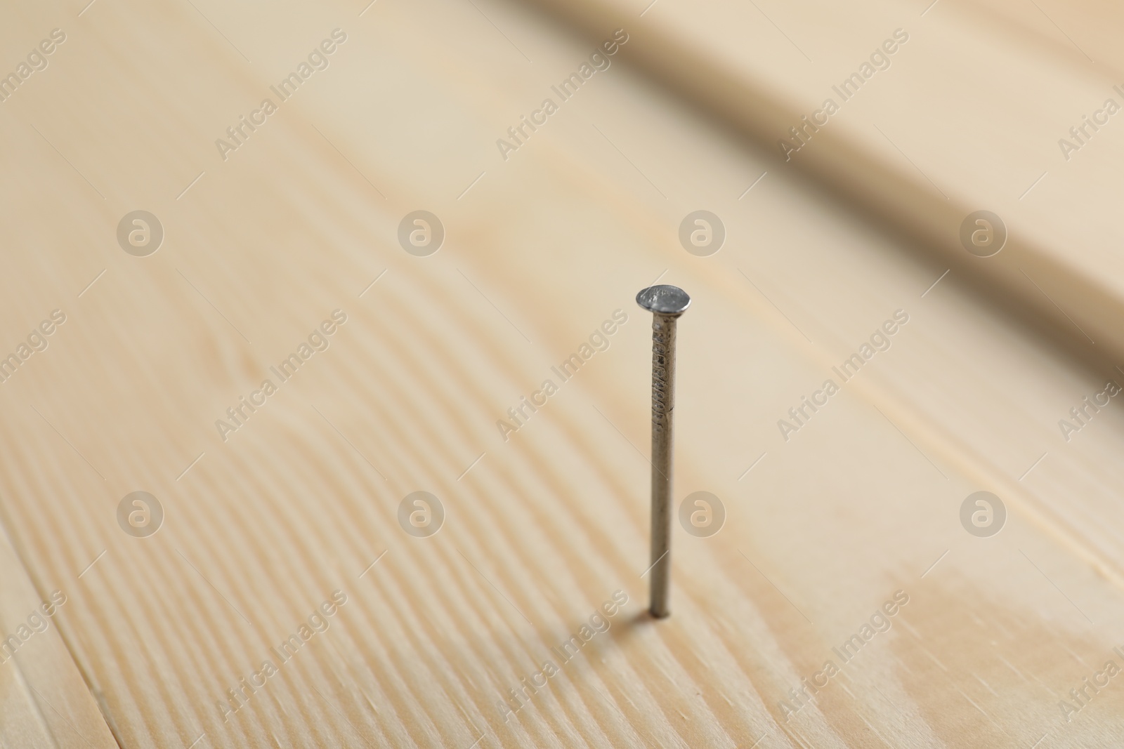 Metal nail in wooden plank on table, closeup. Space for text Photo of Metal nail in wooden plank on table, closeup. Space for text