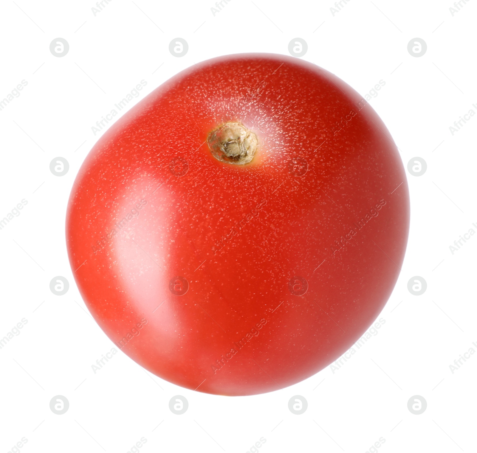 Photo of One ripe red tomato isolated on white
