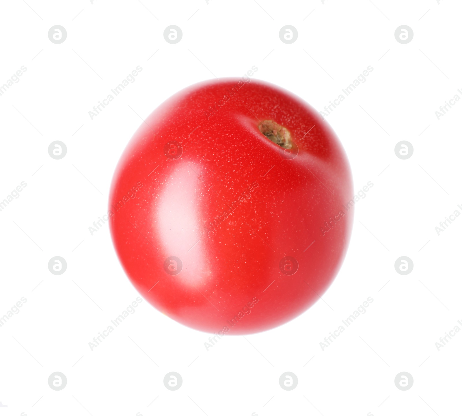 One ripe red tomato isolated on white Photo of One ripe red tomato isolated on white