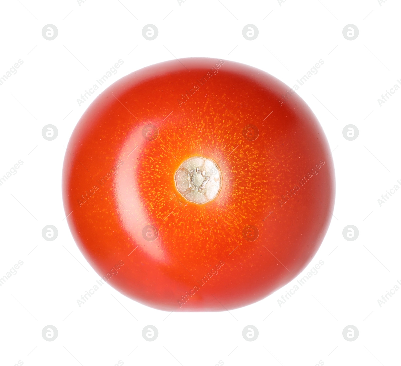 One ripe red tomato isolated on white Photo of One ripe red tomato isolated on white