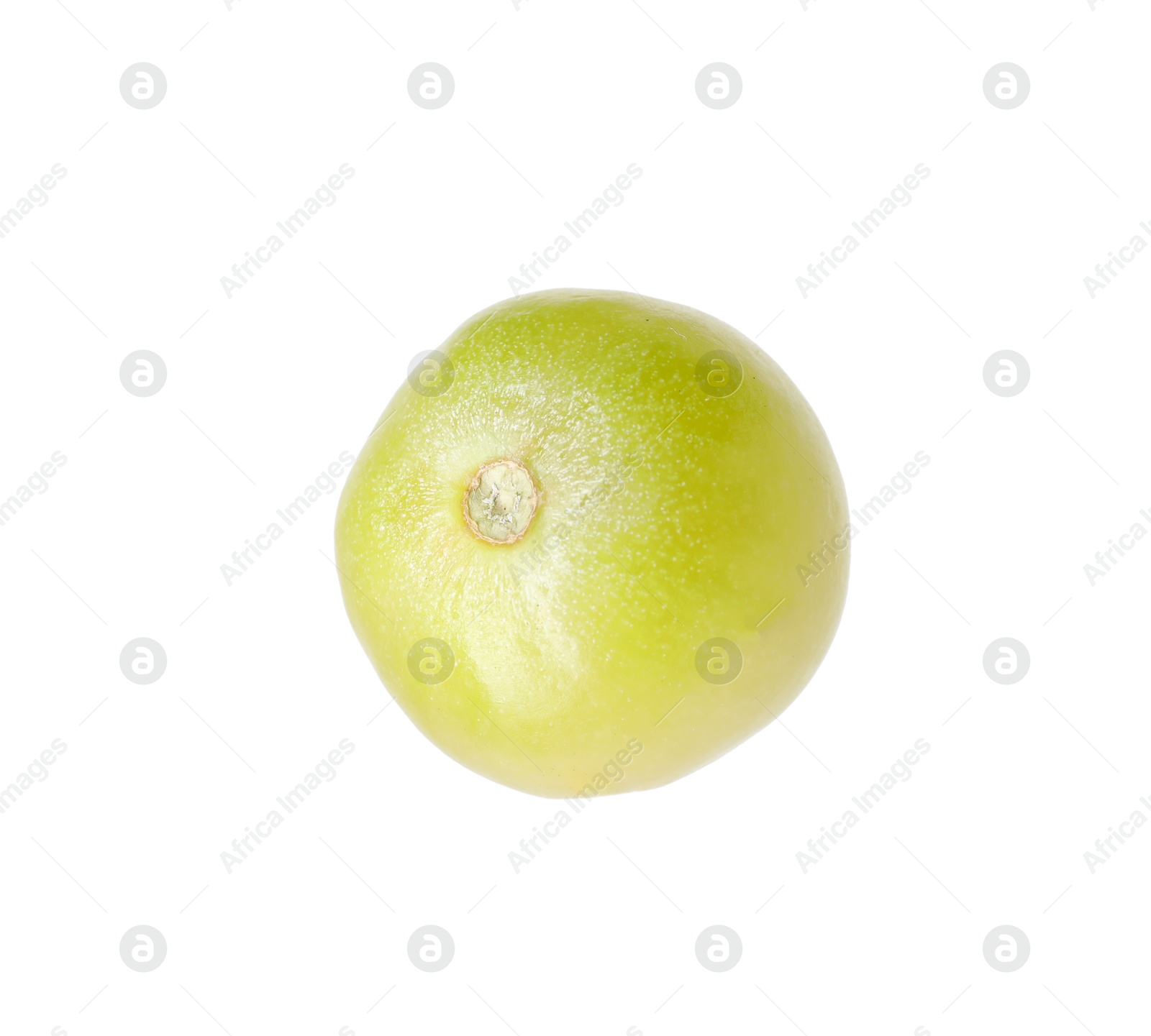 One ripe green tomato isolated on white Photo of One ripe green tomato isolated on white