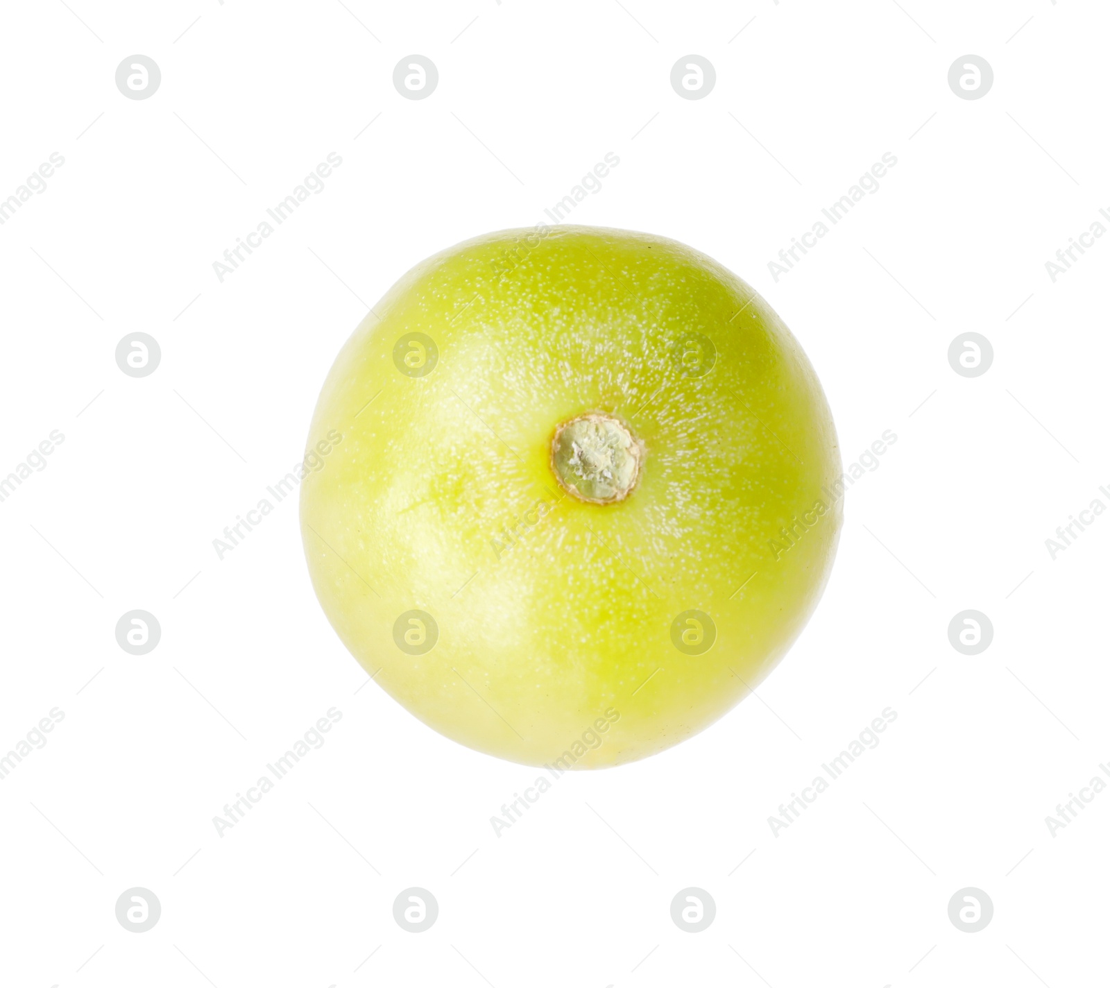 One ripe green tomato isolated on white Photo of One ripe green tomato isolated on white