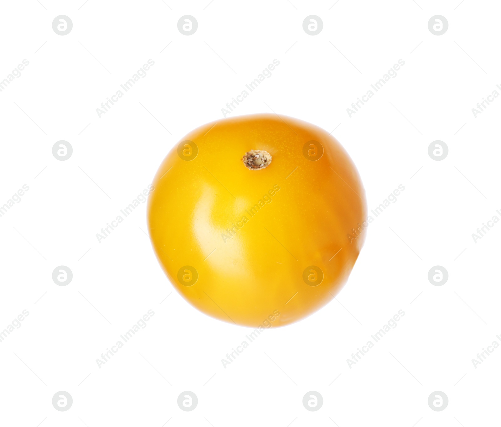 One ripe yellow tomato isolated on white Photo of One ripe yellow tomato isolated on white