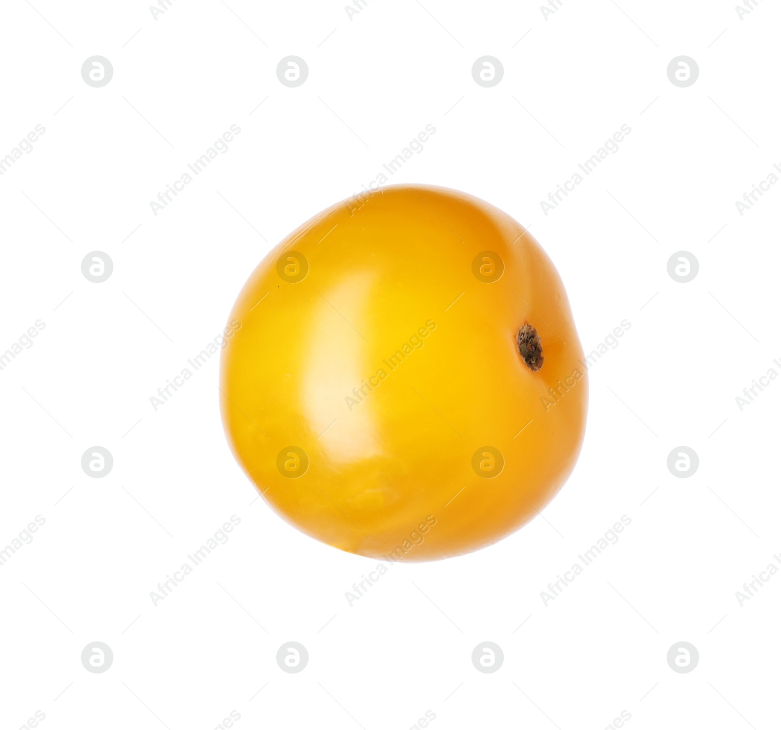 One ripe yellow tomato isolated on white Photo of One ripe yellow tomato isolated on white