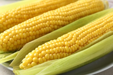 Photo of Tasty boiled corncobs on light table, closeup