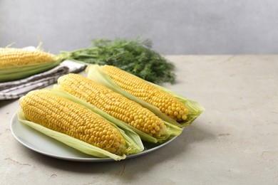 Photo of Tasty boiled corncobs on light table. Space for text