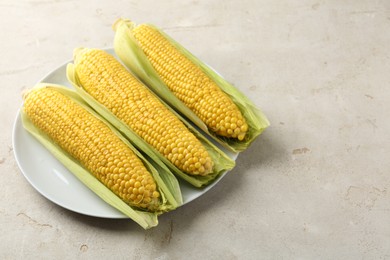 Photo of Tasty boiled corncobs on light table. Space for text