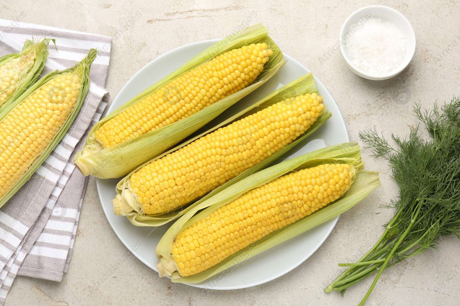 Photo of Tasty boiled corncobs, dill and salt on light table, flat lay