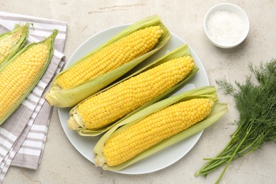 Photo of Tasty boiled corncobs, dill and salt on light table, flat lay