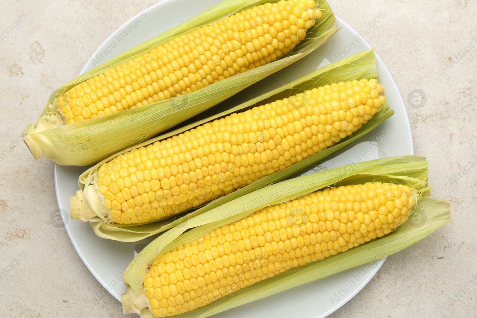 Photo of Tasty boiled corncobs on light table, top view