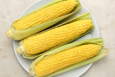 Photo of Tasty boiled corncobs on light table, top view