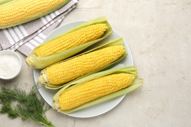 Photo of Tasty boiled corncobs, dill and salt on light table, flat lay