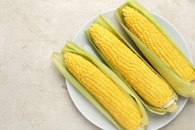 Photo of Tasty boiled corncobs on light table, top view. Space for text