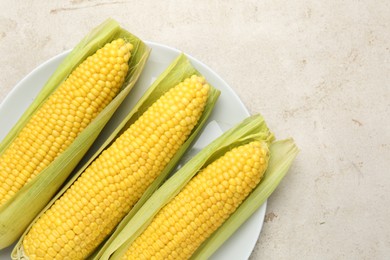 Photo of Tasty boiled corncobs on light table, top view. Space for text