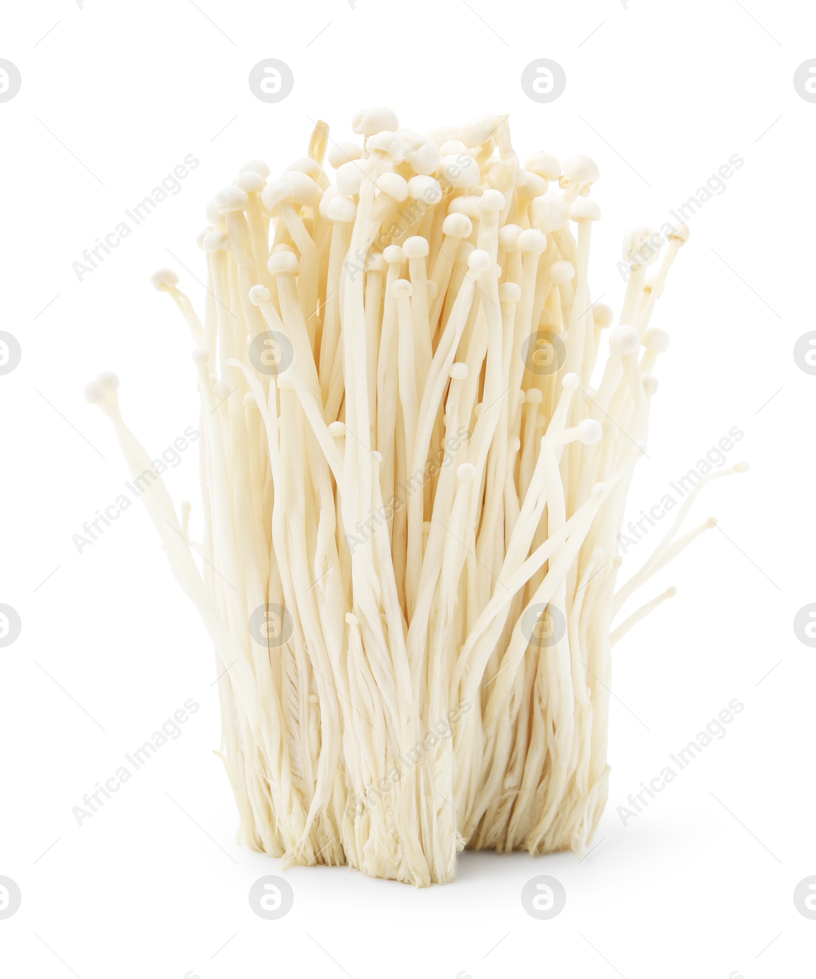 Cluster of fresh enoki mushrooms isolated on white Photo of Cluster of fresh enoki mushrooms isolated on white