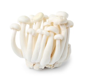 Photo of Cluster of fresh shimeji mushrooms isolated on white