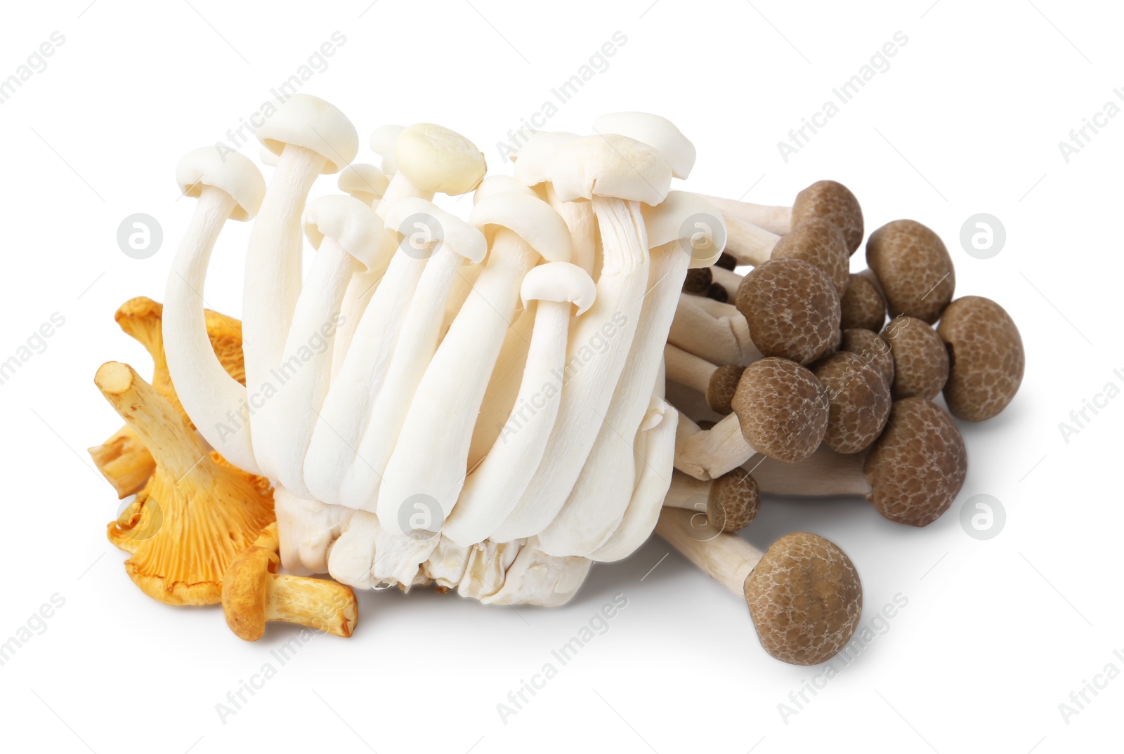 Photo of Pile of different raw mushrooms isolated on white
