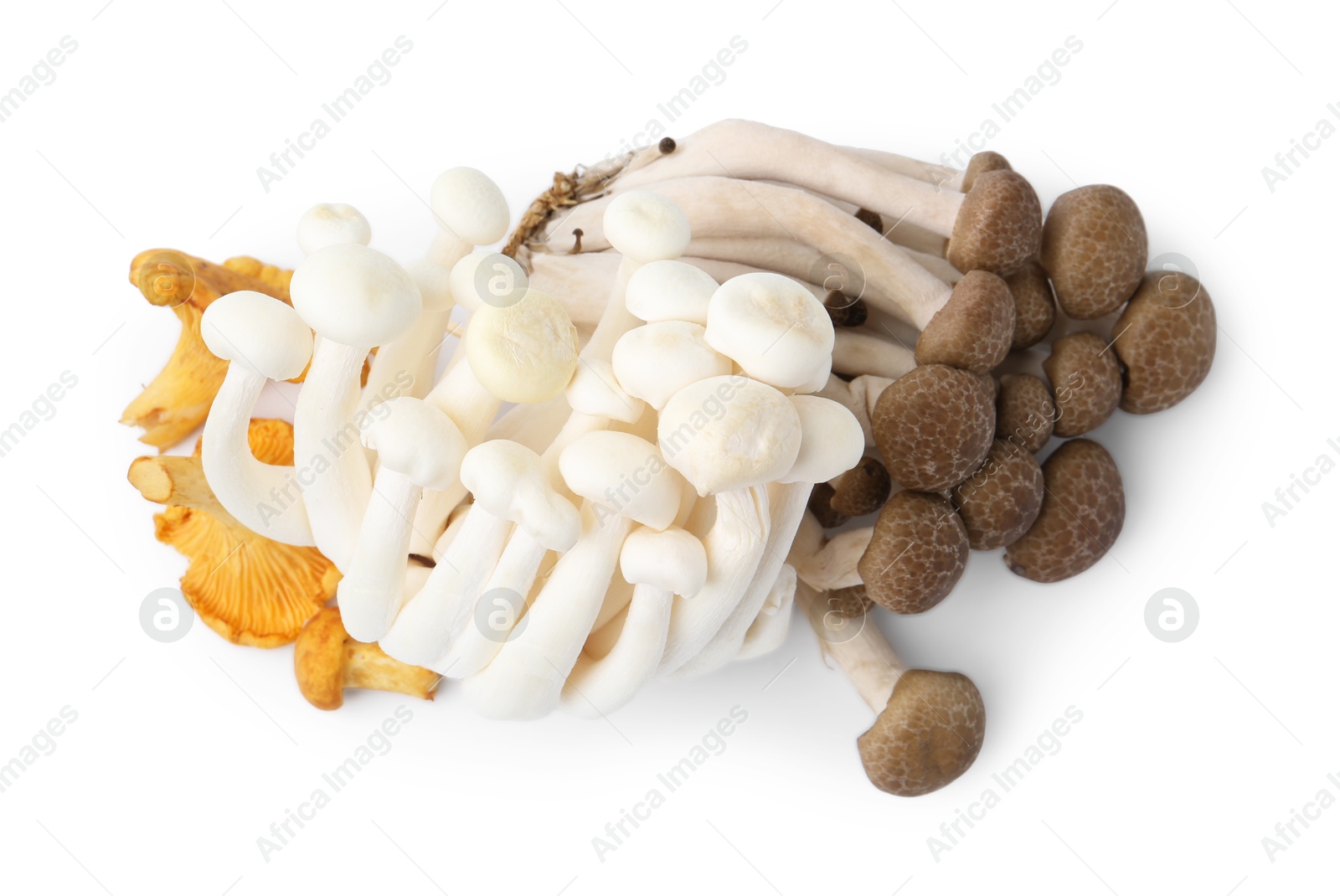 Photo of Pile of different raw mushrooms isolated on white, top view