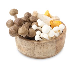 Photo of Different raw mushrooms in bowl isolated on white