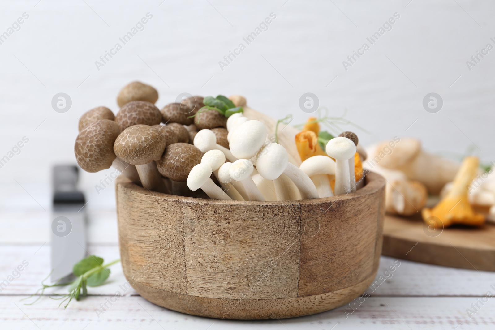 Different raw mushrooms and microgreens in bowl on light wooden table, closeup Photo of Different raw mushrooms and microgreens in bowl on light wooden table, closeup