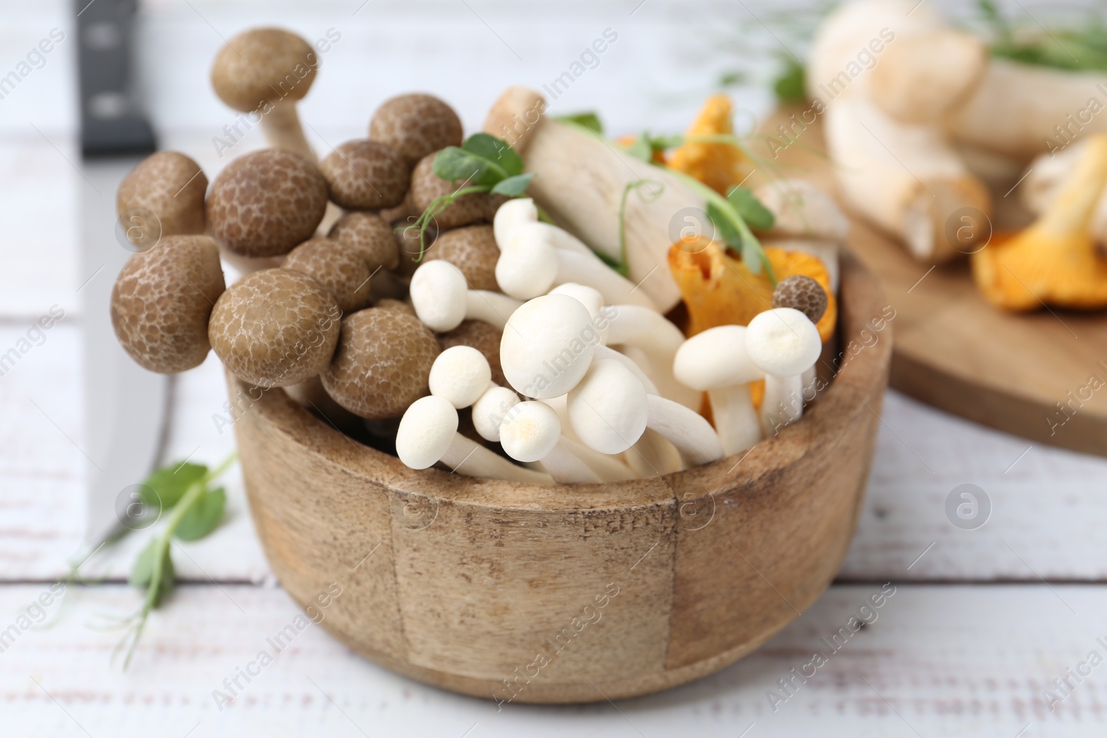 Different raw mushrooms and microgreens in bowl on light wooden table, closeup Photo of Different raw mushrooms and microgreens in bowl on light wooden table, closeup