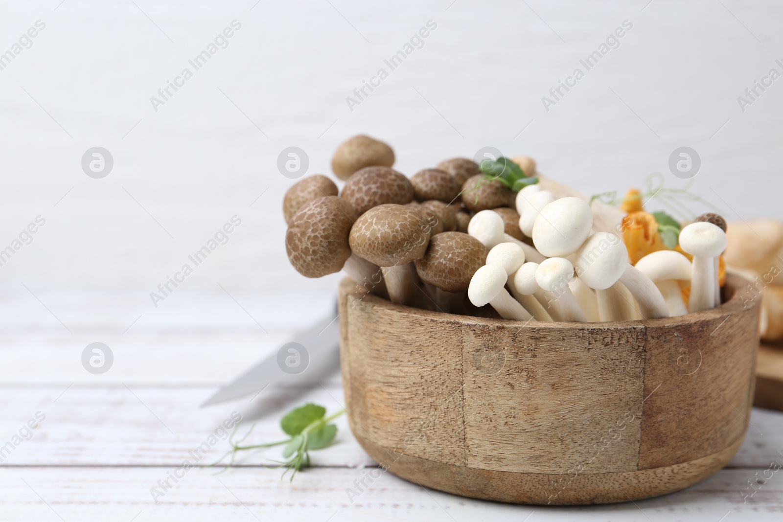 Different raw mushrooms and microgreens in bowl on light wooden table, closeup. Space for text Photo of Different raw mushrooms and microgreens in bowl on light wooden table, closeup. Space for text