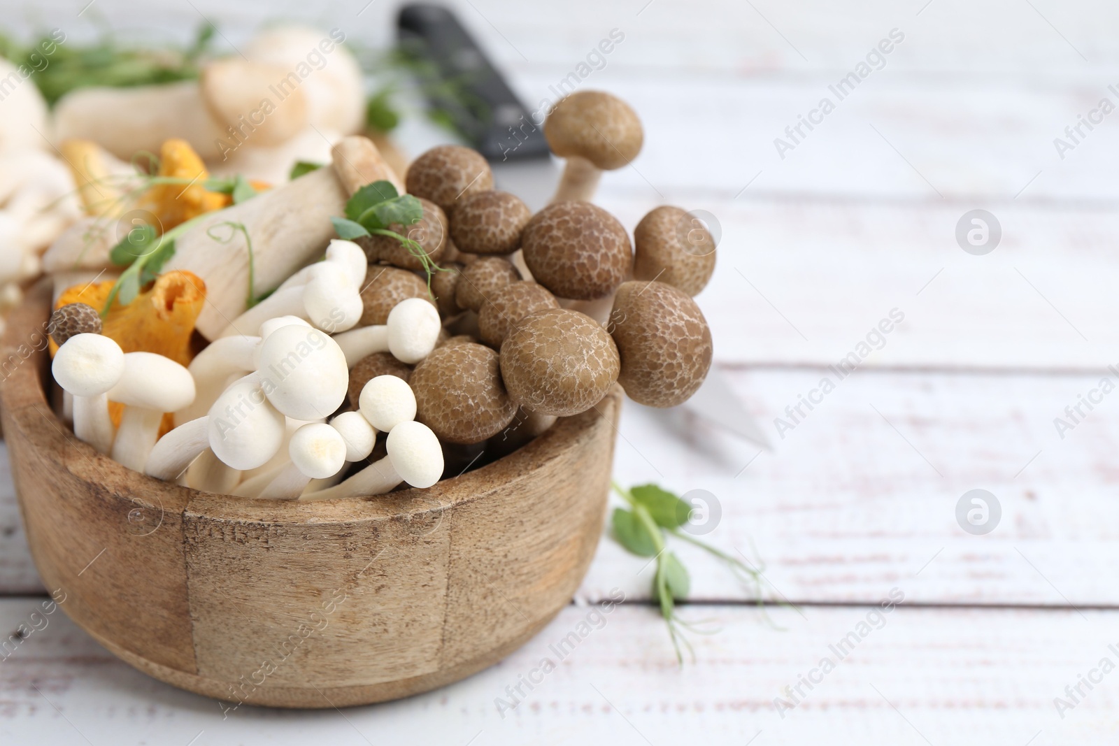 Different raw mushrooms and microgreens in bowl on light wooden table, closeup. Space for text Photo of Different raw mushrooms and microgreens in bowl on light wooden table, closeup. Space for text
