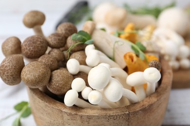 Photo of Different raw mushrooms and microgreens in bowl on light table, closeup
