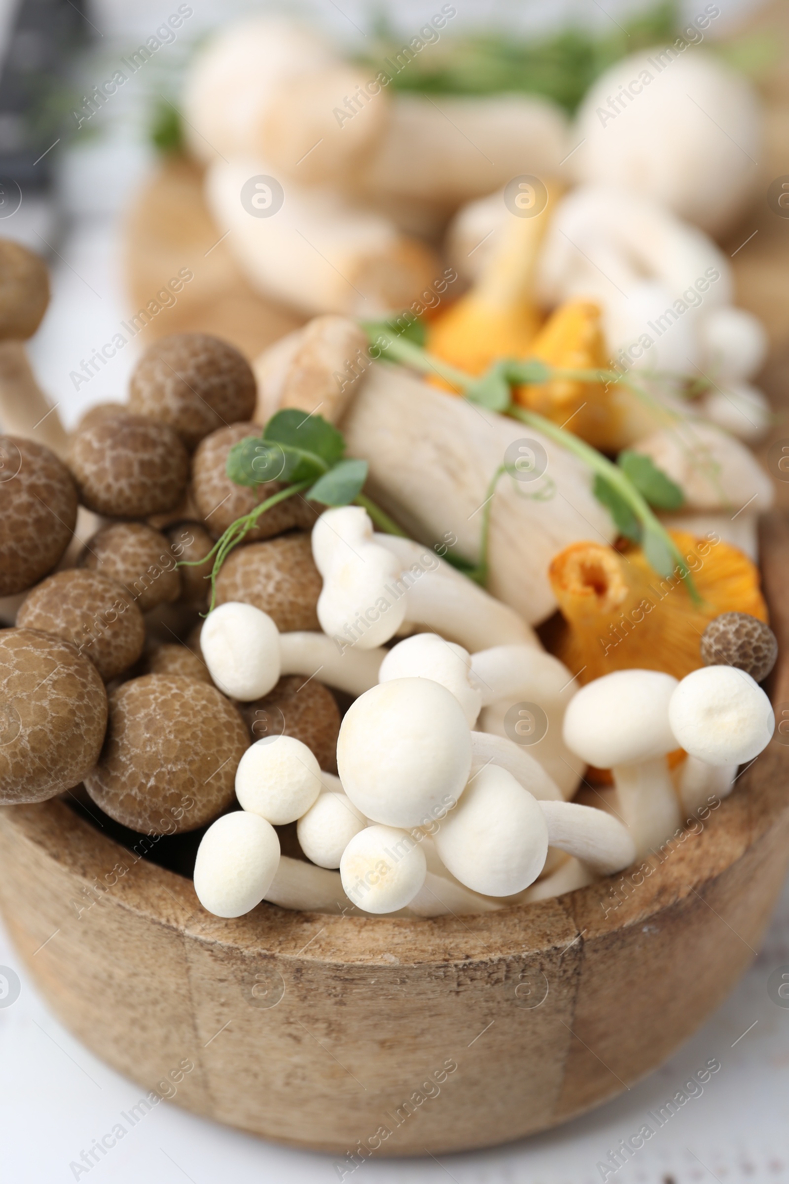 Different raw mushrooms and microgreens in bowl on light table, closeup Photo of Different raw mushrooms and microgreens in bowl on light table, closeup