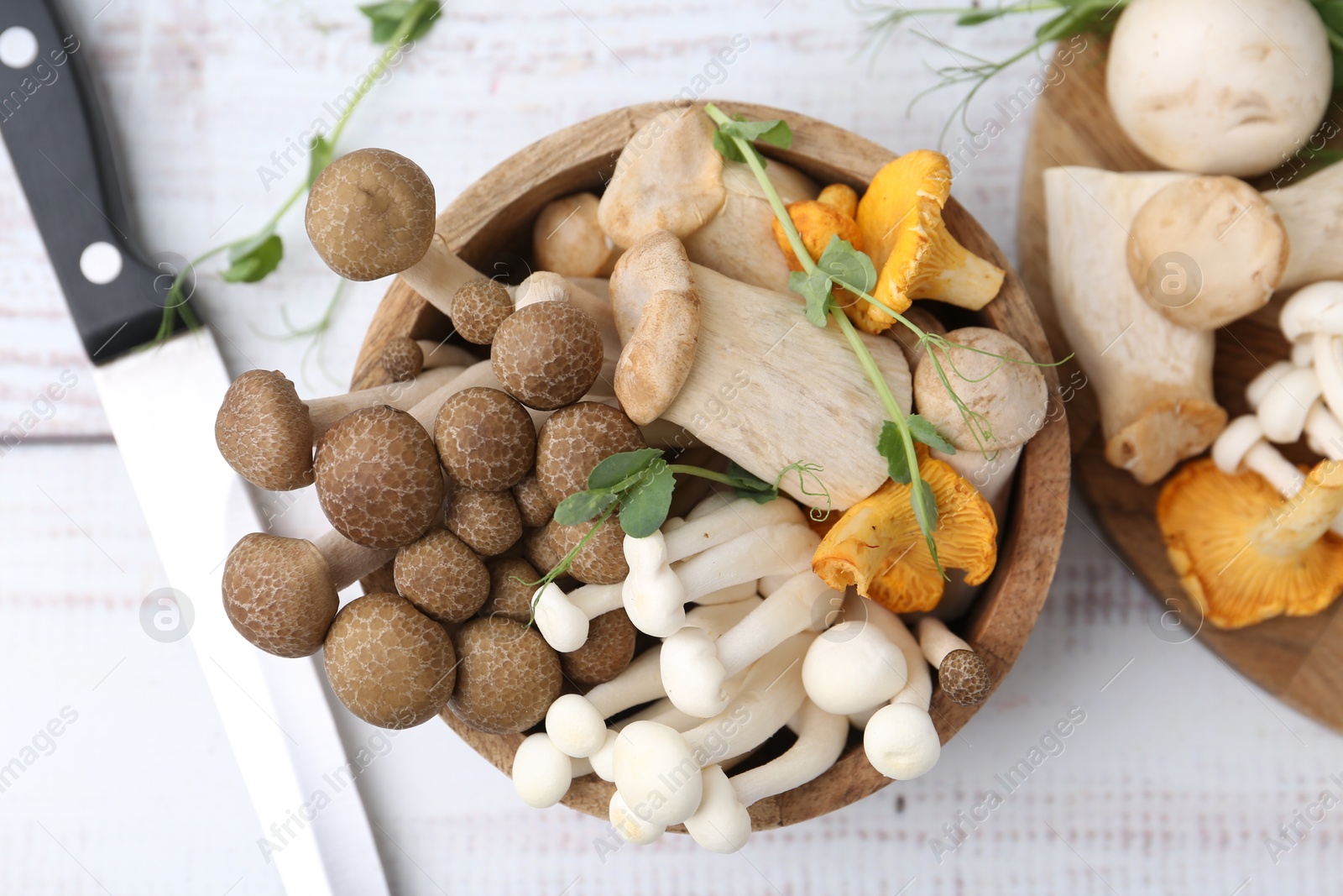 Different raw mushrooms, microgreens in bowl and knife on light wooden table, flat lay Photo of Different raw mushrooms, microgreens in bowl and knife on light wooden table, flat lay