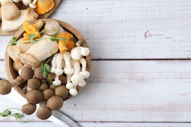 Photo of Different raw mushrooms and microgreens in bowl on light wooden table, flat lay. Space for text