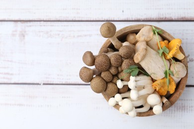 Photo of Different raw mushrooms and microgreens in bowl on light wooden table, top view. Space for text