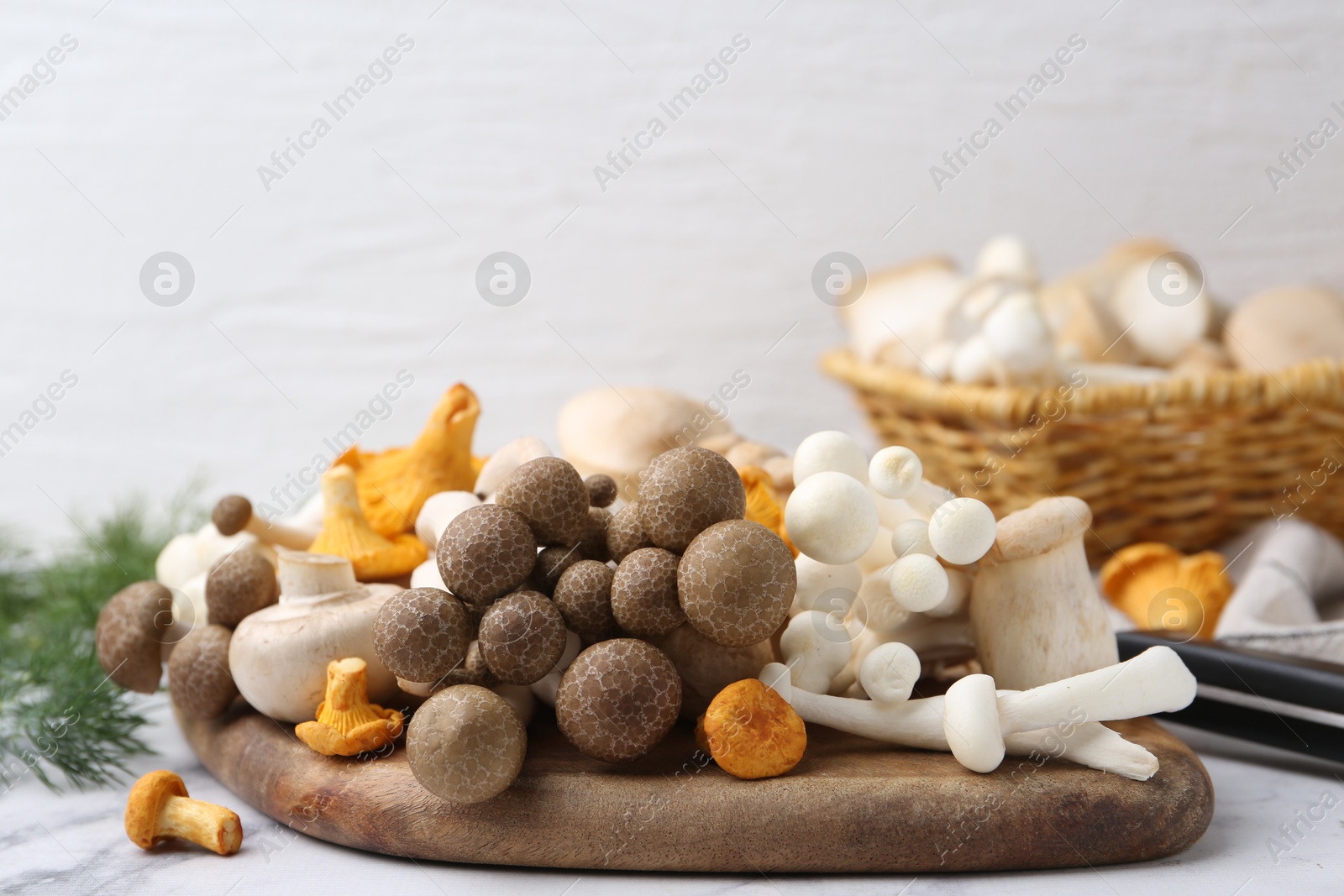 Different raw mushrooms on light table, closeup Photo of Different raw mushrooms on light table, closeup