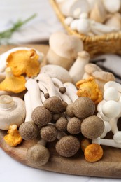 Photo of Different raw mushrooms on light table, closeup
