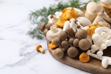 Photo of Different raw mushrooms on light marble table, closeup. Space for text