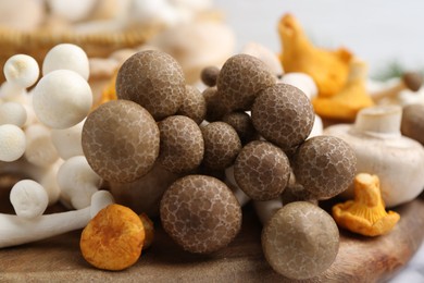 Photo of Different raw mushrooms on light table, closeup