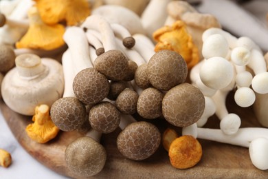 Photo of Different raw mushrooms on light table, closeup