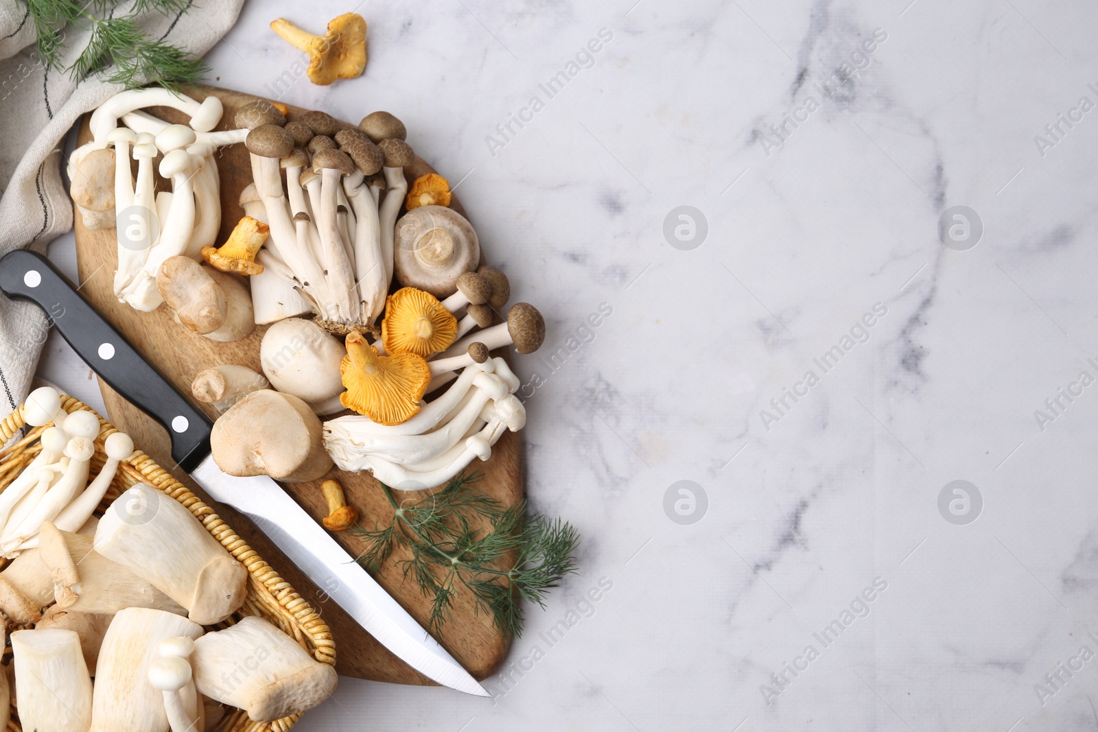 Different raw mushrooms, knife and dill on light marble table, flat lay. Space for text Photo of Different raw mushrooms, knife and dill on light marble table, flat lay. Space for text