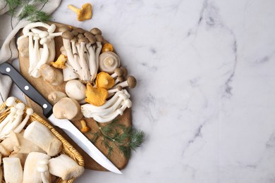 Photo of Different raw mushrooms, knife and dill on light marble table, flat lay. Space for text