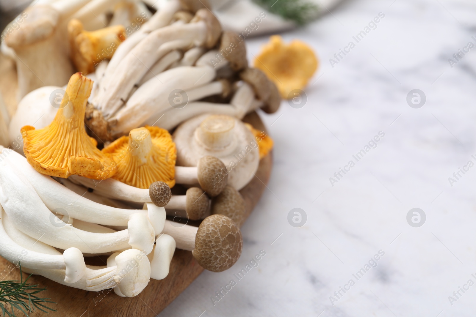 Different raw mushrooms on light marble table, closeup. Space for text Photo of Different raw mushrooms on light marble table, closeup. Space for text