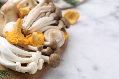 Photo of Different raw mushrooms on light marble table, closeup. Space for text