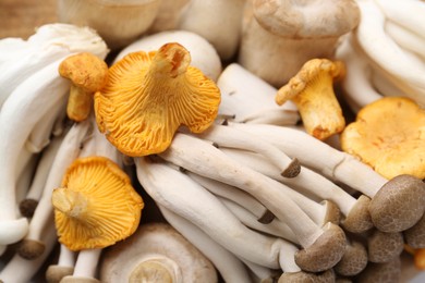 Photo of Different raw mushrooms as background, closeup view
