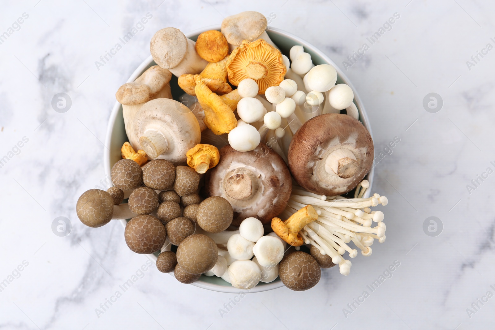 Different raw mushrooms in bowl on light marble table, top view Photo of Different raw mushrooms in bowl on light marble table, top view