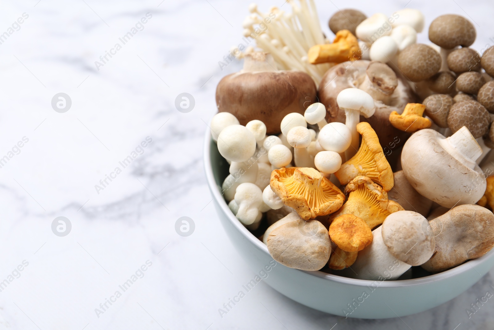 Different raw mushrooms in bowl on light marble table, closeup. Space for text Photo of Different raw mushrooms in bowl on light marble table, closeup. Space for text