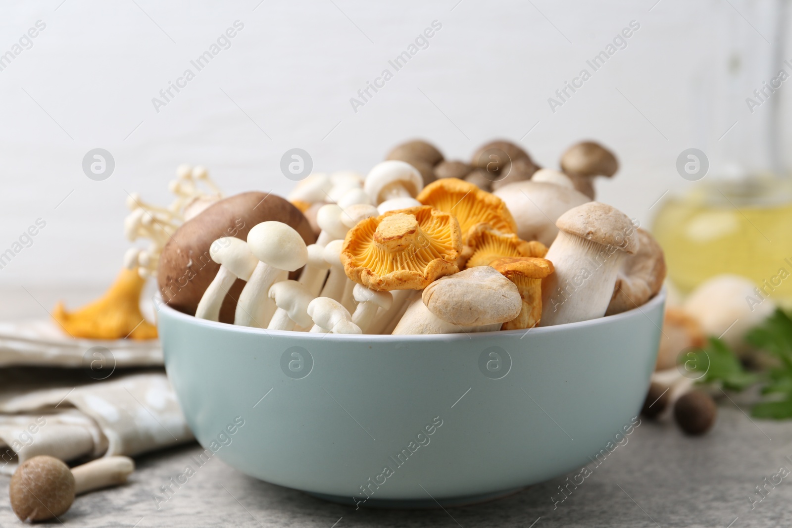 Different raw mushrooms in bowl on grey textured table against light background, closeup Photo of Different raw mushrooms in bowl on grey textured table against light background, closeup