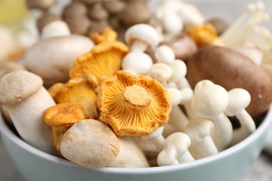 Photo of Different raw mushrooms in bowl on table, closeup