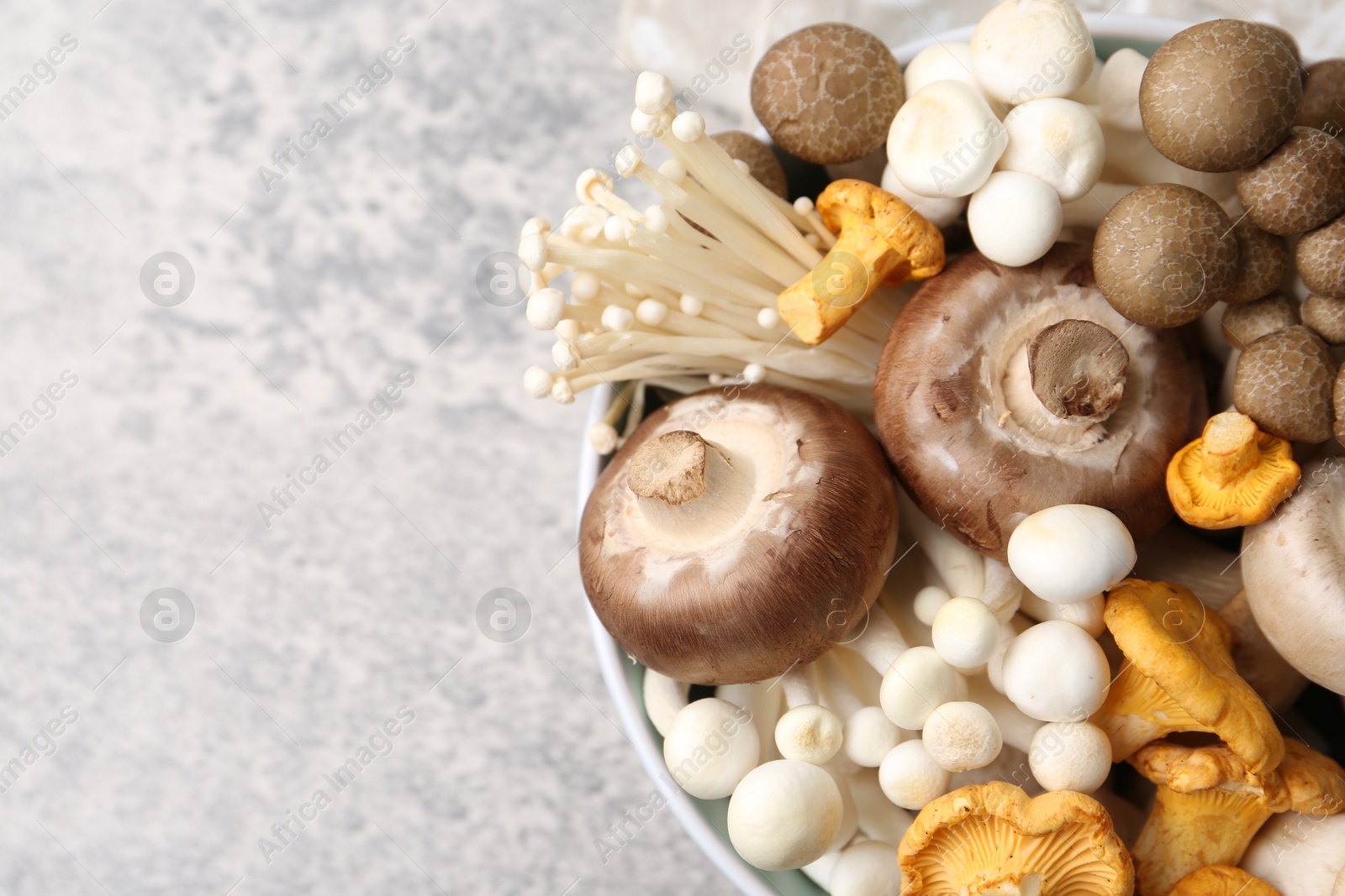 Different raw mushrooms in bowl on grey textured table, top view. Space for text Photo of Different raw mushrooms in bowl on grey textured table, top view. Space for text