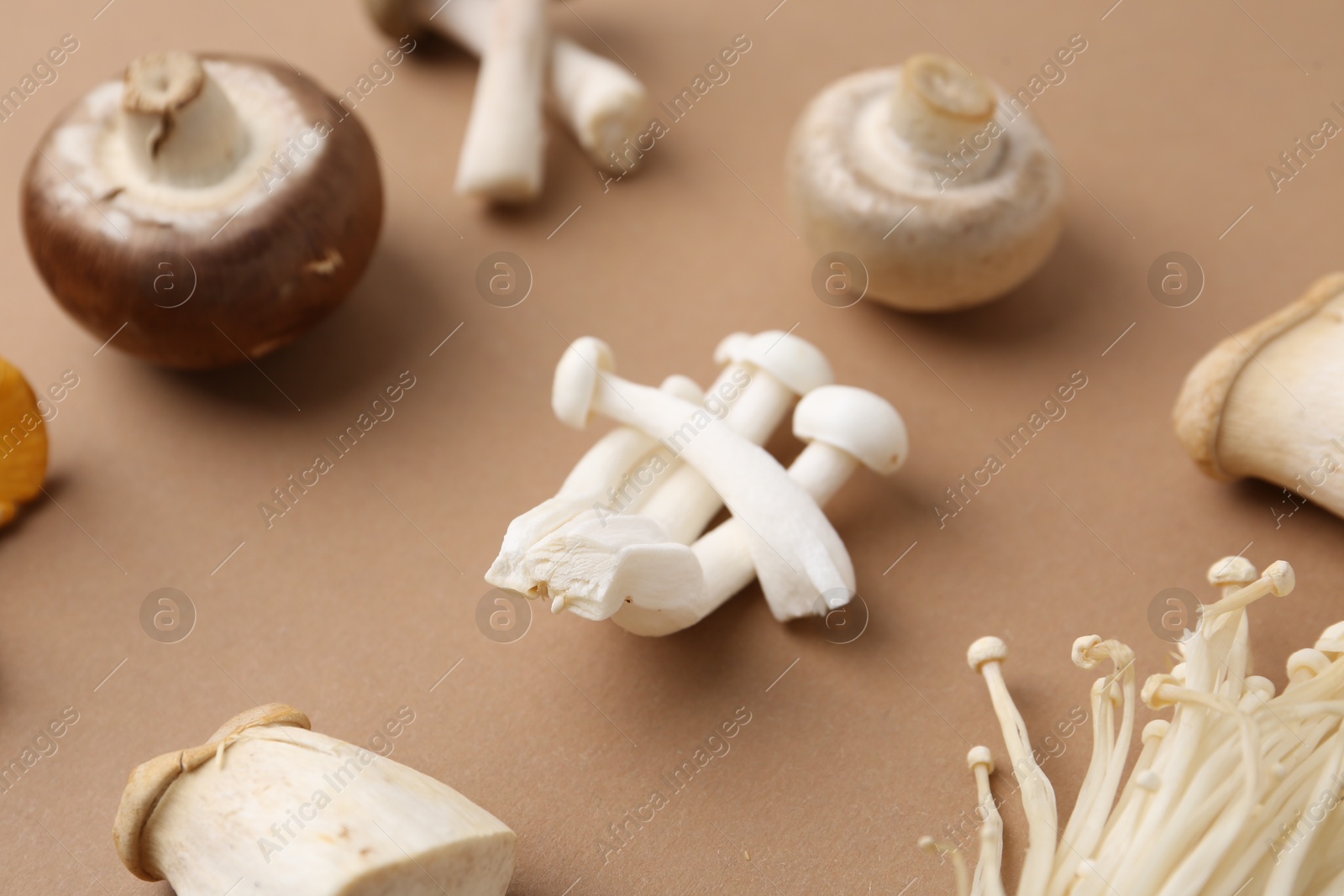 Different raw mushrooms on beige background, closeup Photo of Different raw mushrooms on beige background, closeup