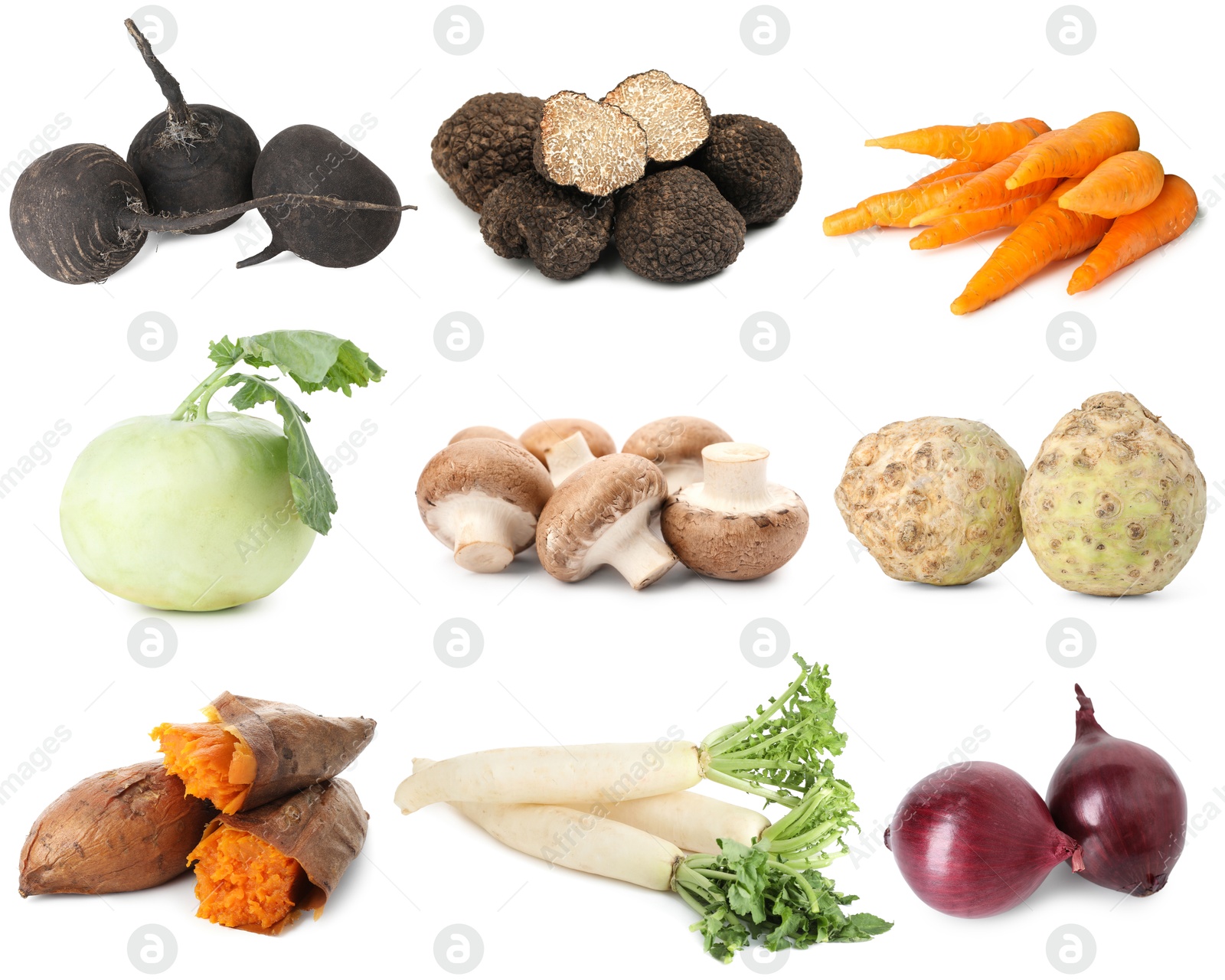 Food products with earthy taste isolated on white, set Image of Food products with earthy taste isolated on white, set
